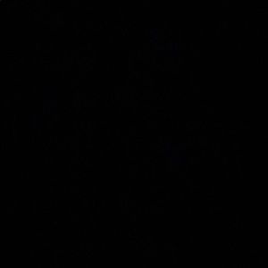 Meet your Posher, Sasha